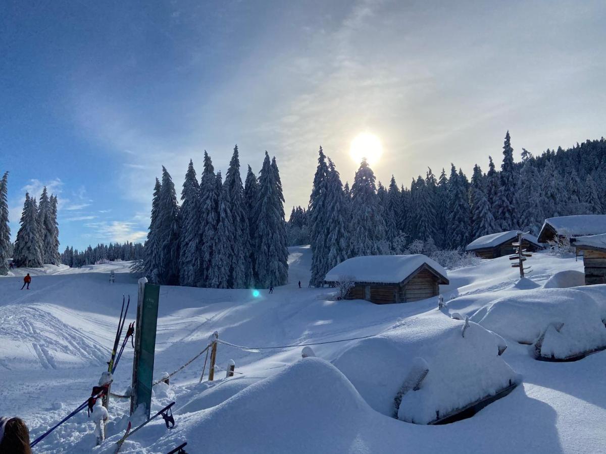 Apartamento Plénouze Autrans-Meaudre-en-Vercors Exterior foto